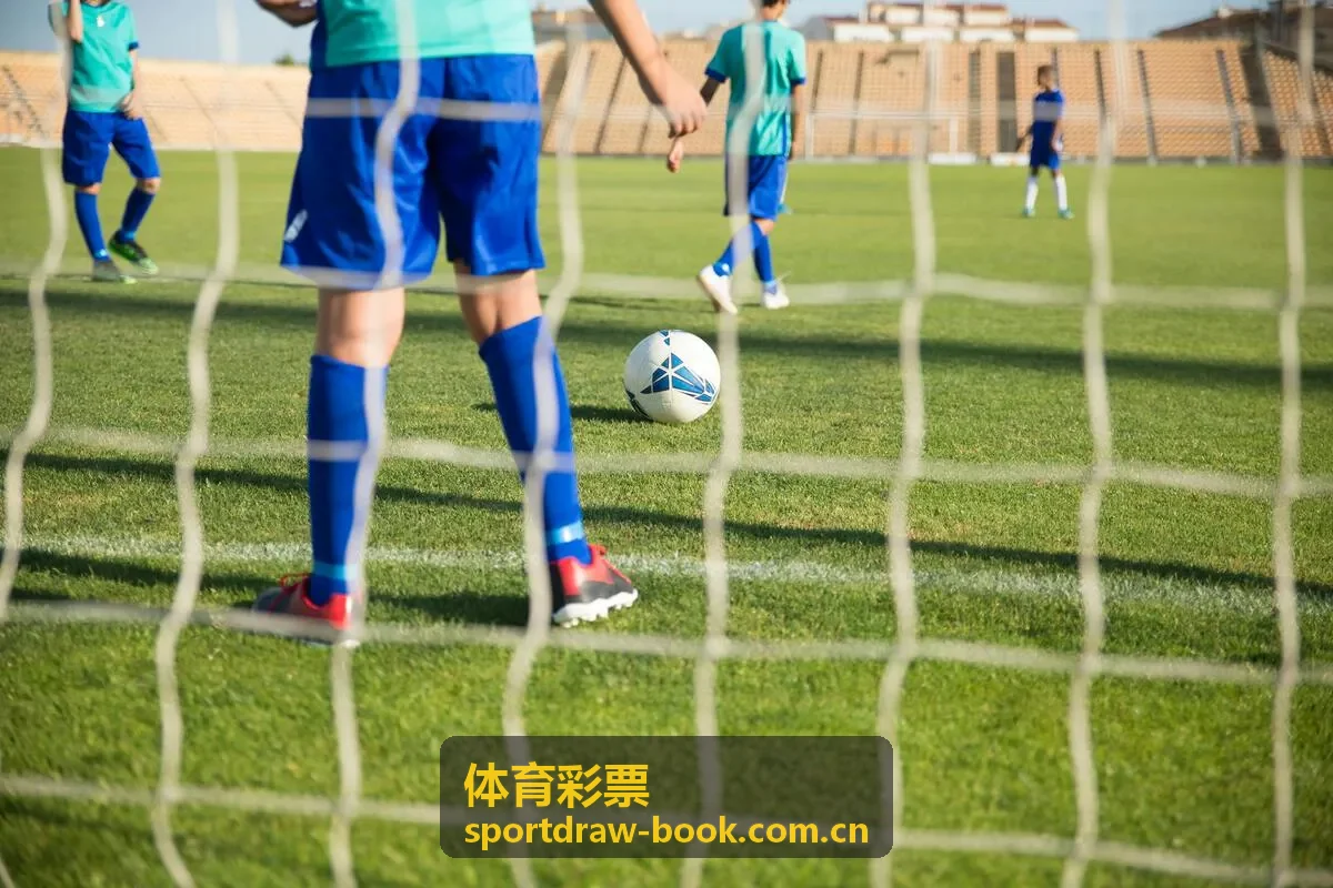 体育彩票任选九玩法投注规则说明